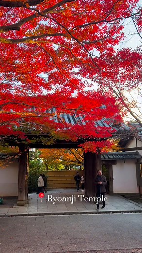 193K views · 5.6K reactions | Places in Japan that you should visit before you die #kyoto #kyotojapan #japan #japantravel #osaka #tokyo #nagoya #hokkaido #sapporo #winter #snow #yuki #japanweather #weather #weatherupdate #today #kiyomizudera #kiyomizuderatemple #kinkakuji #gion #giondistrict #japanese | Japan Unfiltered | Facebook