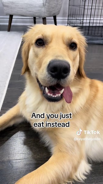 Rayathegoldo on TikTok