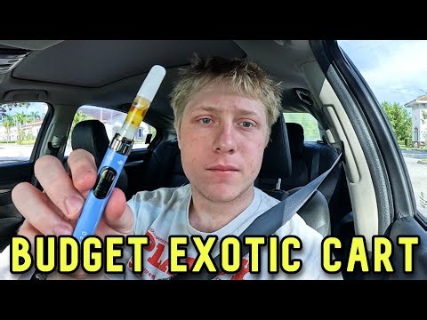 Trying Budget EXOTIC Carts!