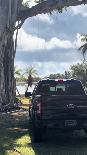 Embrace Positivity: It's a Great Day to Shine