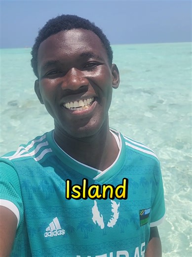 Mnemba Island is truly a must-do experience in Zanzibar. Enjoy the beautiful combination of dolphin watching, clear water snorkeling, and relaxing on stunning white sand with pure blue ocean views. A perfect day for nature, adventure, and peaceful beach moments. Book your Mnemba Island trip today and let me guide you for the best experience in Zanzibar. #acheda_zanzibar #fyp #zanzibar🇹🇿 #swimming #dolpin