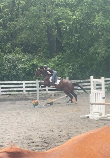 Oak Tree Farm: BlockOut the Noise Training Journey