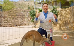 【火遍全美】覆盖整个小学的全英实景科学实验课，在家跟着科学家边学英语边学科学 STEAM英文课程