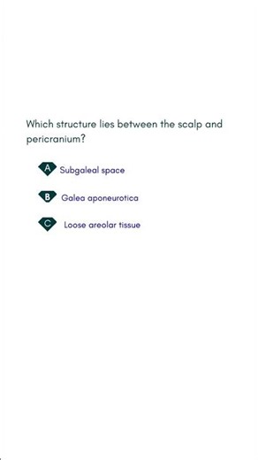 Which structure lies between the scalp and pericranium #medicalexamguide