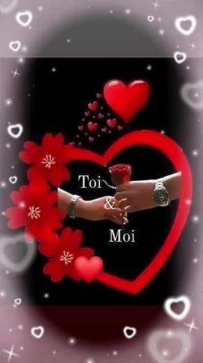 Discover Stunning Roses in Various Colors and Blooms