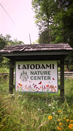 1.9K views · 14 reactions | Check out the final installment about the Monarch Butterfly with Latodami Nature Center! Let's join Katie in the North Field meadow to learn about the migration pattern of the incredibly unique "Super Generation". This is video 3 of 3 about Monarch Butterflies. Stay tuned for more educational videos! 曆 | Allegheny County Parks | Facebook