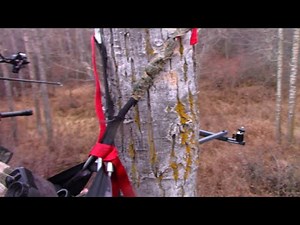 Tree Saddle build - DIY