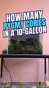 2.9K views · 14 reactions | Curious about how many fish can...