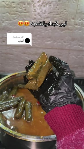 الرد على @. #اكسبلور #اكل #ورق_عنب_حامض #viral #الشعب_الصيني_ماله_حل😂😂