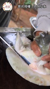 526K views · 3.5K reactions | 绝配佳肴，新鲜水鱼与老母鸡，共铸霸王鳖鸡传奇，清甜鲜香 #三味 #美食 #乡村生活 #food | 三味 | Facebook