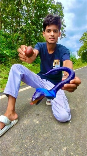 remote control king cobra snake 🐍 unboxing 🔥