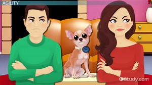 Developing a Business Agility Transformation Plan