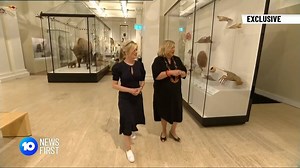 4.2K views · 32 reactions | The Australian Museum in Sydney has undergone one of the biggest redevelopments in its 193-year history. Sandra Sully went behind the scenes to see the transformation. | 10 News Sydney | Facebook