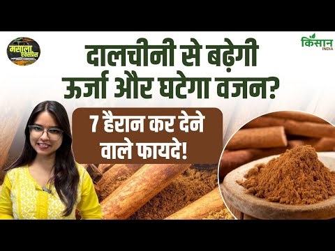 Benefits of Cinnamon | ताकत बढ़ाने से लेकर वजन घटाने तक, दालचीनी के 7 हैरान करने वाले फायदे!