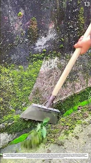 Overgrown Edges: How Scraping Clears Moss and Grass From Concrete
