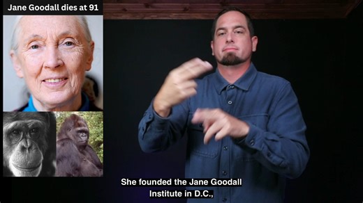 57K views · 1.6K reactions | The Daily Moth on Reels | Facebook