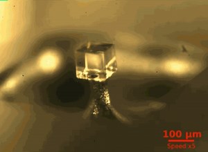 Watch Micro Origami Self-Assemble With A Drop Of Water
