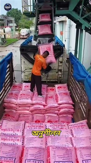 Transport Belt Master Handles Bags Every 2 Seconds – Insane Speed & Precision