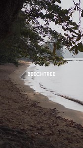 A Spring Memoir || PRET S '25 - New Arrivals | Beechtree