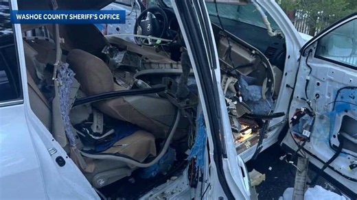 Bear trapped inside car in Nevada causes major damage before escape