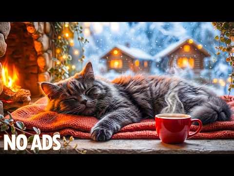 12 Hours Calming Music for Cats💖Deep Sleep & Anxiety Relief 😸 Stress Relief Music for Pets