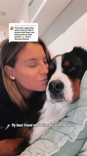 Everyday Is a Good Day — Bernese Mountain Dog Maverick (24/7 Companion)