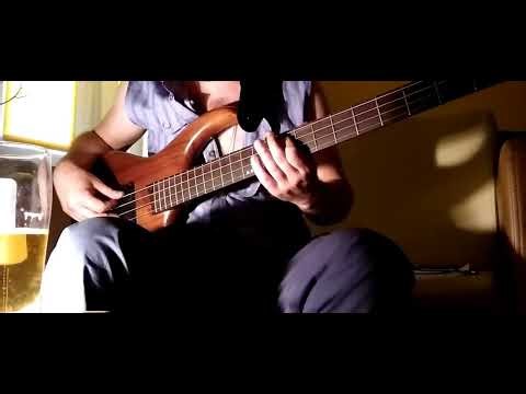 Stevie Wonder - "Isn't she lovely" (bass cover)