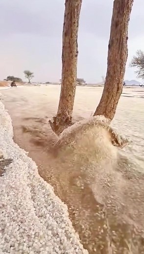 Exploring the Beauty of Sand River: Part 2