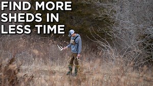 85 reactions · 12 shares | Find more sheds, in less time. Matt Dye of Land & Legacy breaks down the best way to cover ground on your favorite piece of dirt! When looking to shed hunt a certain farm Matt describes what factors to take into account when it comes to figuring out where those sheds should be laying and the core areas to key in on. #shedrally | Whitetail Properties | Facebook