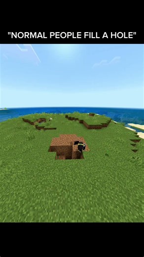 Filling Every Hole in Minecraft (Satisfying Build!)