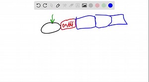 SOLVED:The MADS box is a. part of a Hox gene. b. a DNA sequence that encodes the DNA-binding portion of a type of transcription factor. c. a DNA regulatory sequence for genes involved in flower patterning. d. a micro-RNA that controls the timing of flowering.