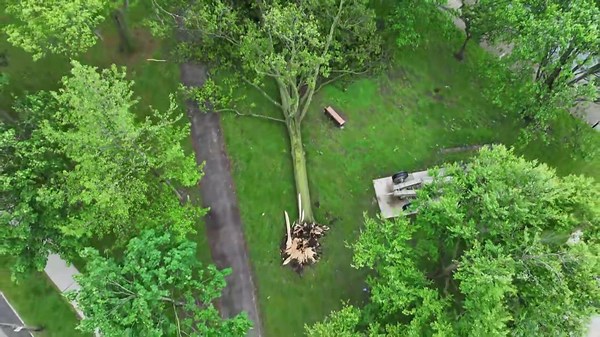 LOOK: Trees down in Barberton after storms hit Northeast Ohio