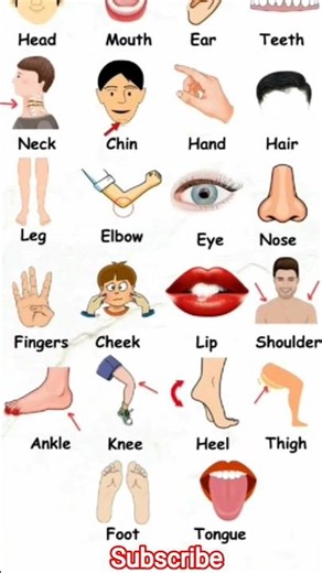 Body parts | Body parts chart | Name of body parts for kids 👦 👦 👦