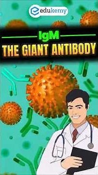 Immunity Masterkey 🔑: How IgM Antibody Protects Us from Infections
