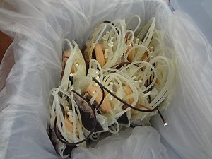 Blood Drive Held in Memory of Bellmore Dentist