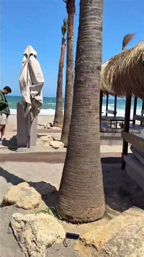 Chambao Sotogrande 🇪🇸🌊 | Beachfront Luxury on the Costa del Sol
