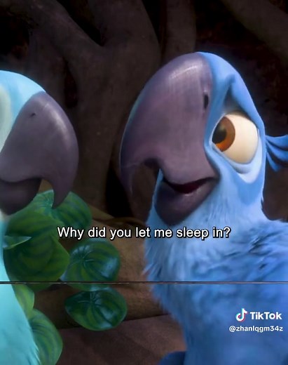 #movie #rio2 #movieclips #rio2movie #foryou #fyp | rio 2 ending