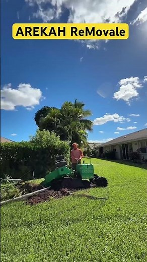 Quickest way to Stump Grind Palm Tree