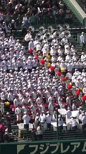 【センバツ 高校野球応援】大阪桐蔭 吉田正尚 応援歌 境地ver #大阪桐蔭 #吉田正尚 #センバツ #高校野球 #高校野球応援 #ブラバン応援 #甲子園応援