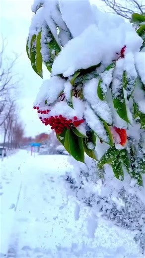 Stitch On Time (@stitchontime)’s videos with original sound - Geetha