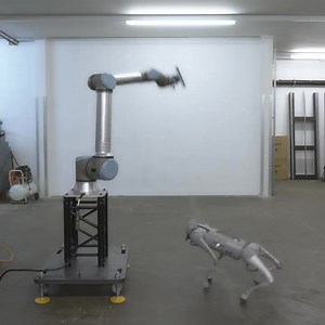 TOP 5 VIDEOS OF 2024 – NO. 4 👏 A robot’s best friend 🐶 You can't teach an old dog new tricks. But maybe they can be programmed? 🤔 Take a look at this good boy playing fetch with a robot. Art piece prototype "Infinite Fetch" by AATB 🦾 #robotics #cobots #automation | Universal Robots