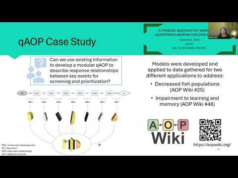 In Silico Toxicology 101: Applications and Case Studies: Part II