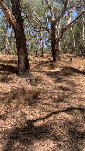 boof fan club (@boof.fan.club)’s videos with son original - Wise Man