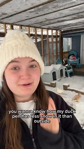 5.8K views · 128 reactions | Enjoy the blooper 藍 #DunkinDucks #Ducks #PetDucks #FarmAnimals #FarmLife | Dunkin Ducks | Facebook