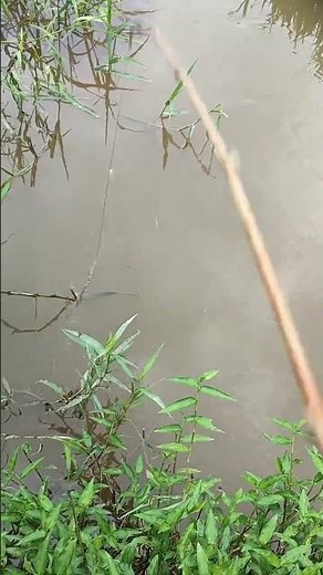 How to Catch Big Fish in Small Country Lakes