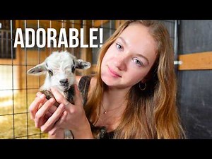 Taking Care of the NEW BABIES on the Farm!