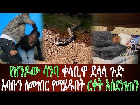 ዴቭ ከጥቁሩ እባብ ጋር ግንኙነት ያላትን ዋና ሴት አገኛት —የሚገርም ነገር ተፈጠረ
