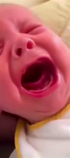 #wilson all baby yeah yeah 🤣