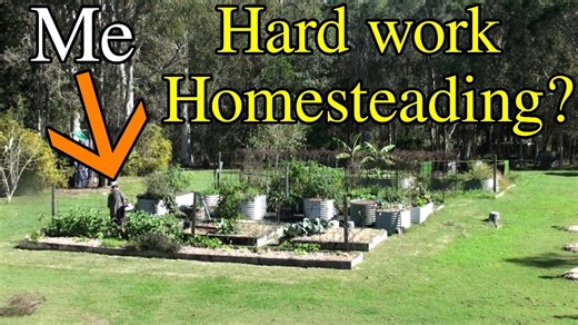 A day in the life on our self-sufficient homestead | Gardening, fresh produce & farm chores