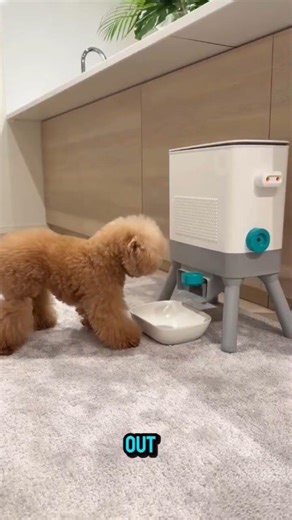 “Owner Pranks His Dog With a Fake Snack Machine! #shorts #viral